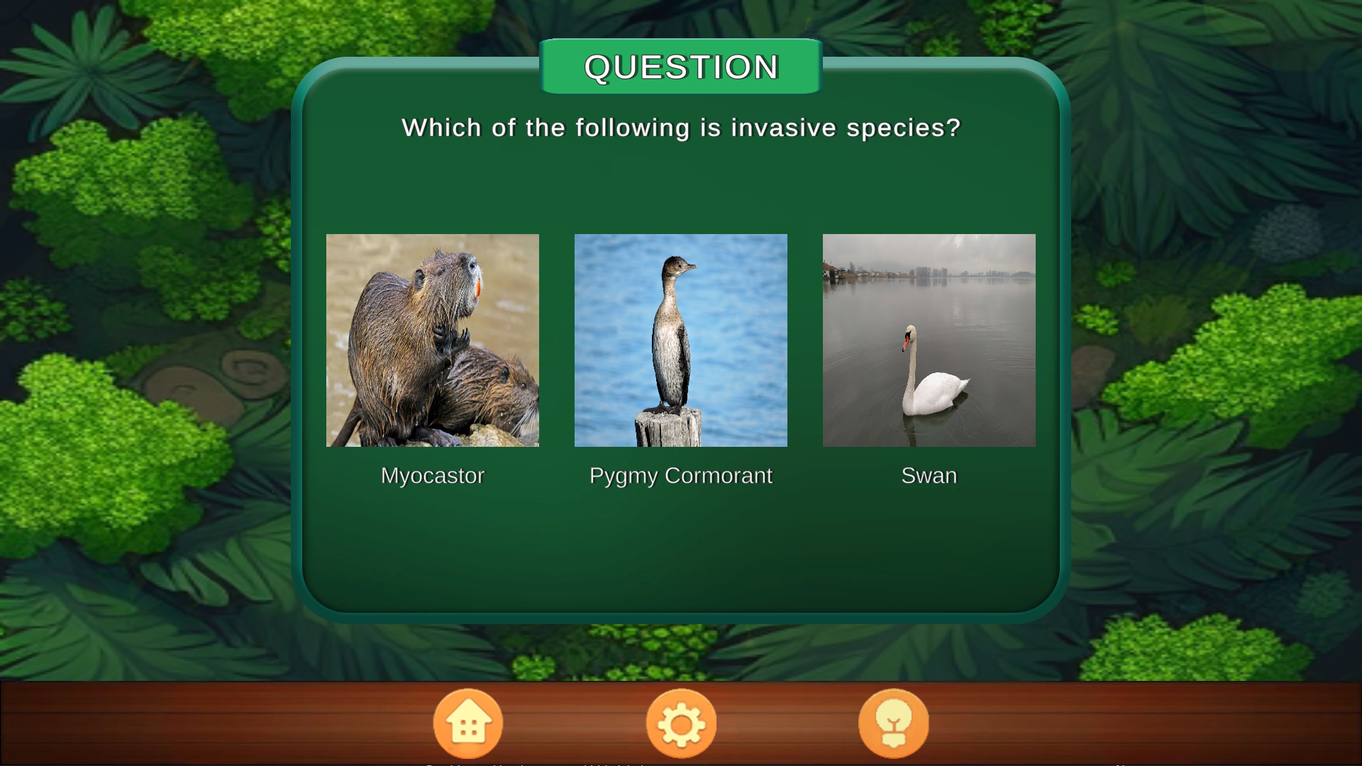 Description of image2